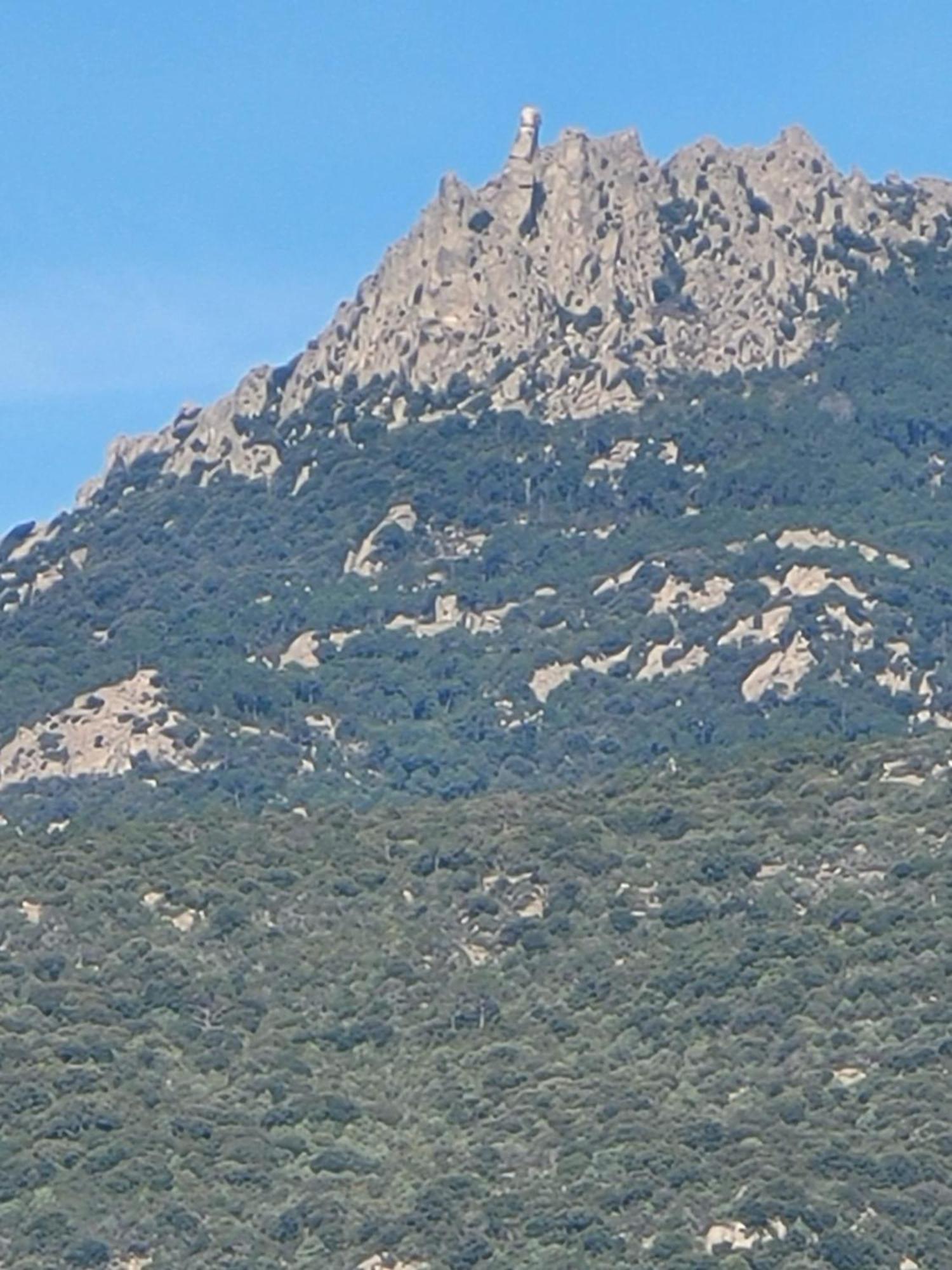 Argiale - Arghjale Villa Figari  Luaran gambar